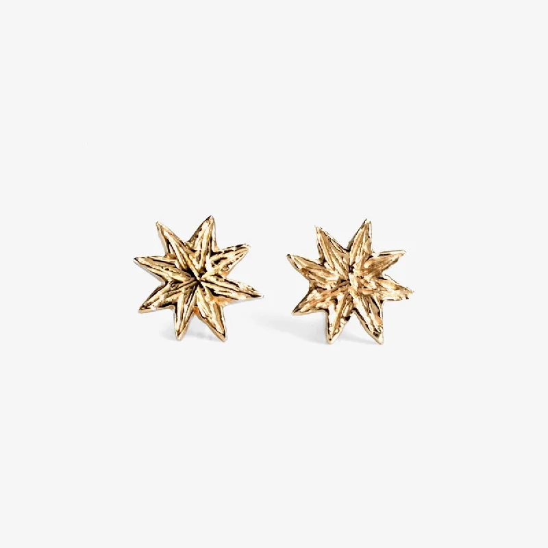 Grab Your Dream Jewelry At The Lowest Prices Style Redefined Star Burst Studs | E0710 Grab Your Dream Jewelry At The Lowest Prices Style Redefined Star Burst Studs | E0710